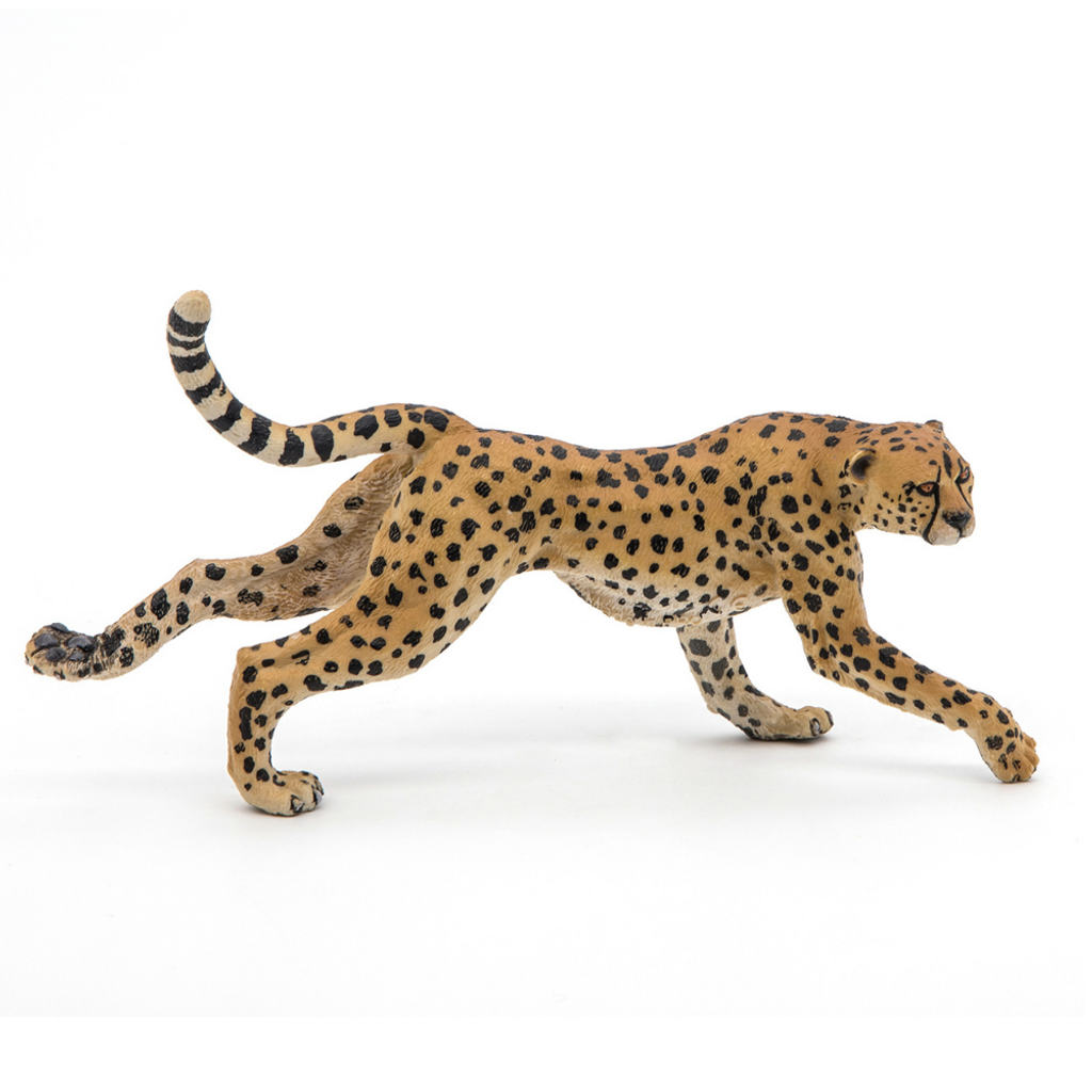 Papo Cheetah, Running