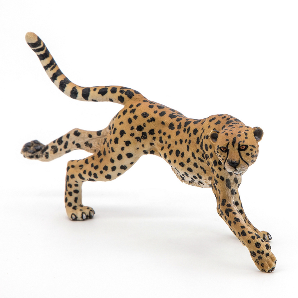 Papo Cheetah, Running