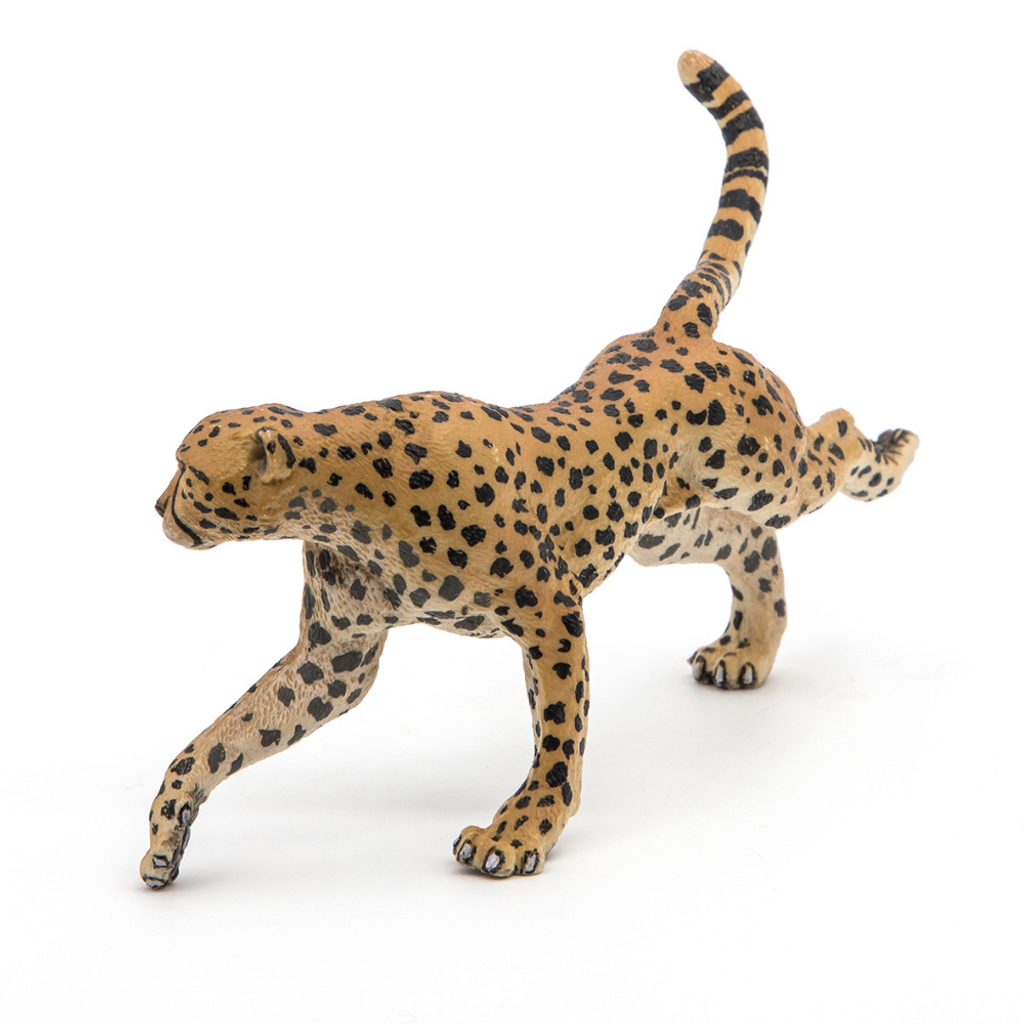 Papo Cheetah, Running