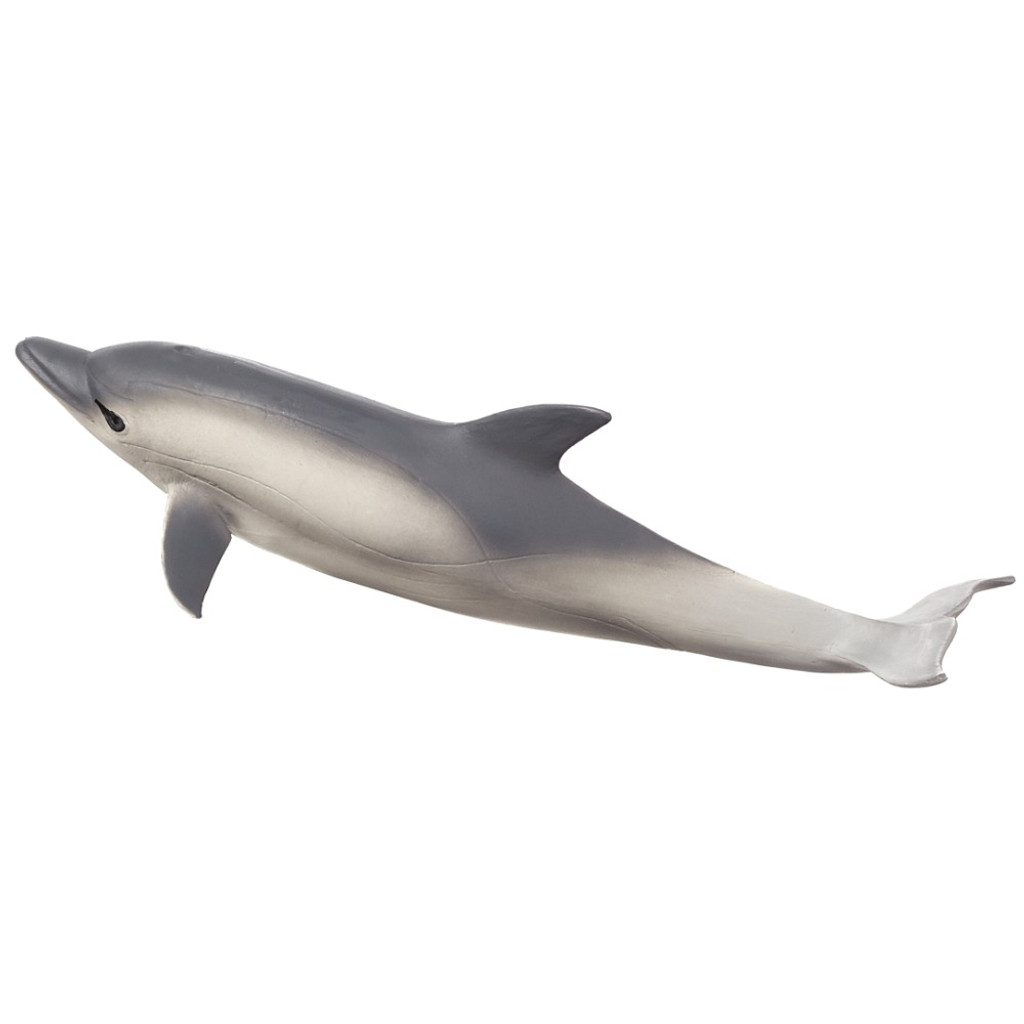 Mojo Common Dolphin