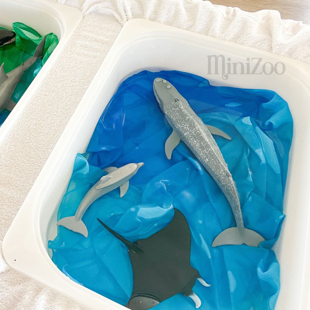 CollectA Blue Whale 88834 | Sealife Toys
