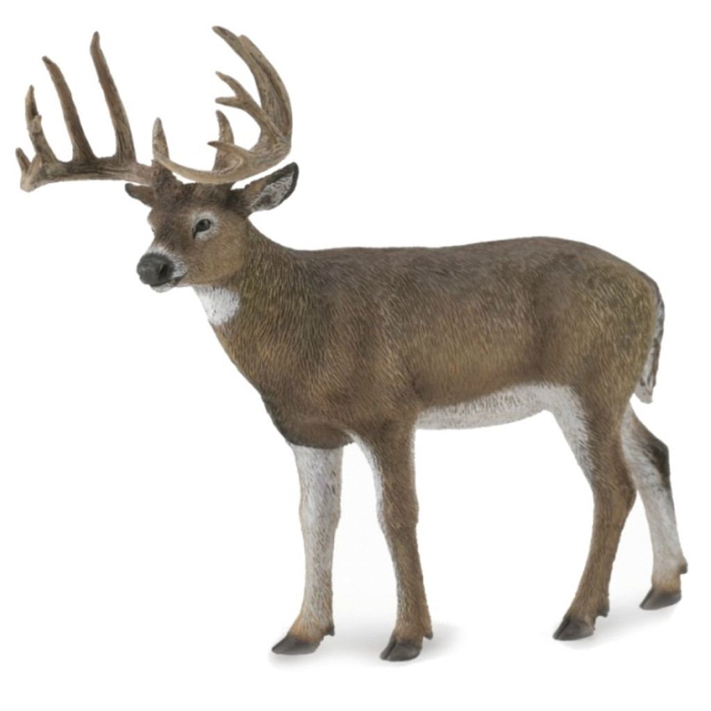 CollectA White-Tailed Deer