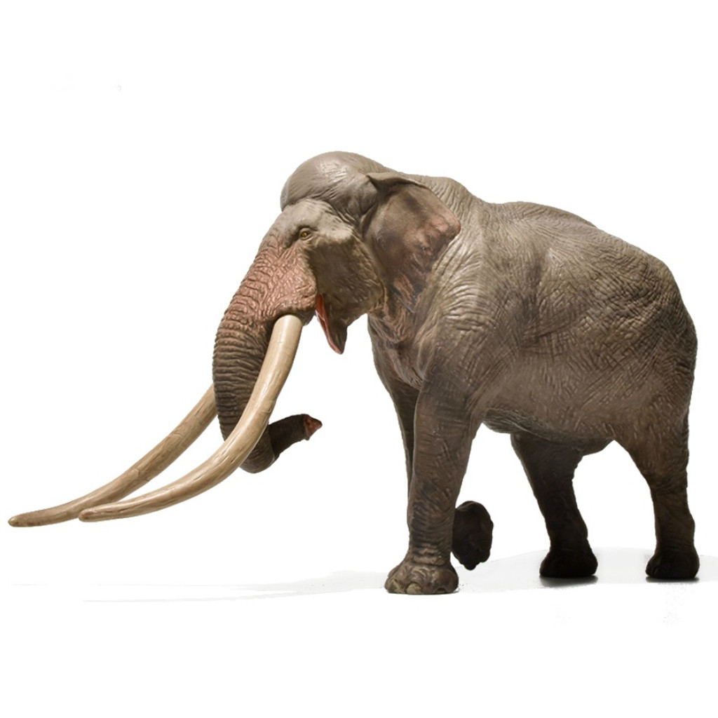 Eofauna Straight-Tusked Elephant