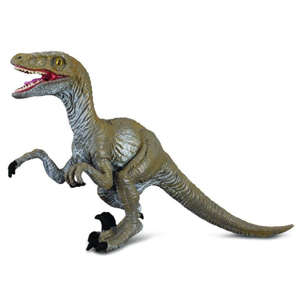 CollectA Prehistoric Life Gift Set Velociraptor