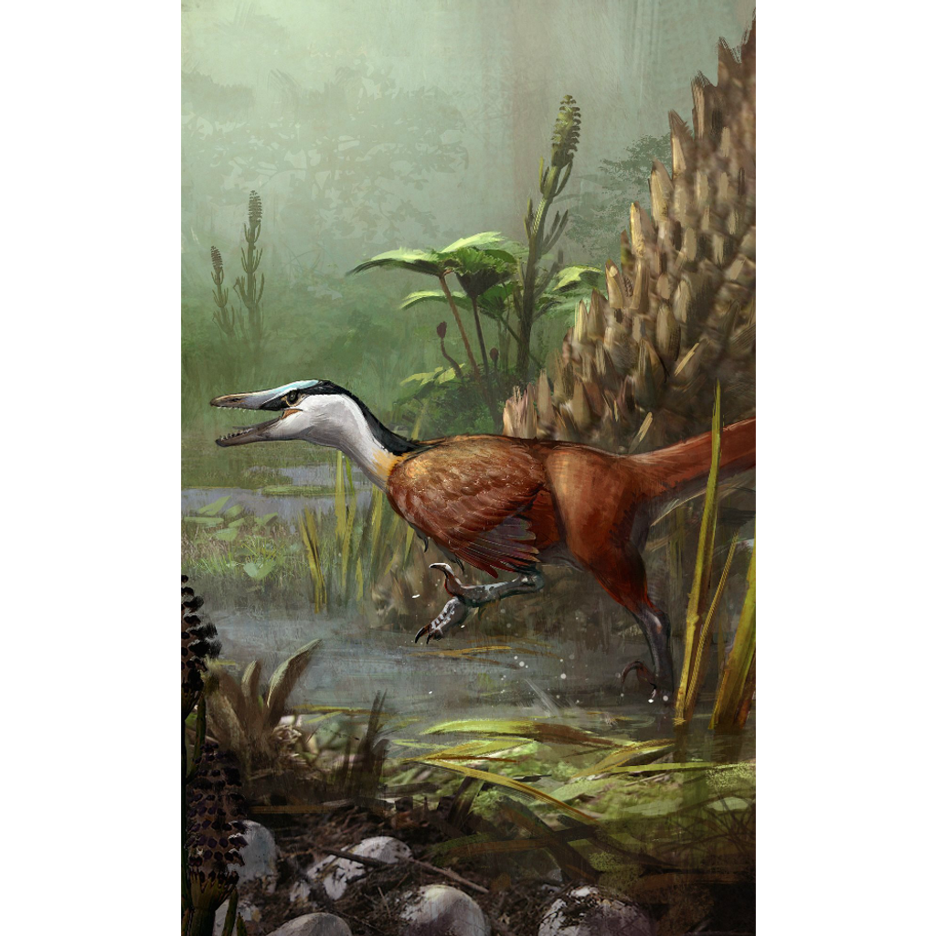 Creative Beast Studio Wetlands Accessory Pack with Buitreraptor g. 1:6 Scale