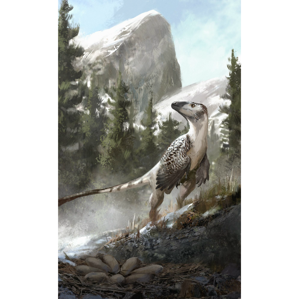 Creative Beast Mountains Accessory Pack with Troodon f. 1:6 Scale