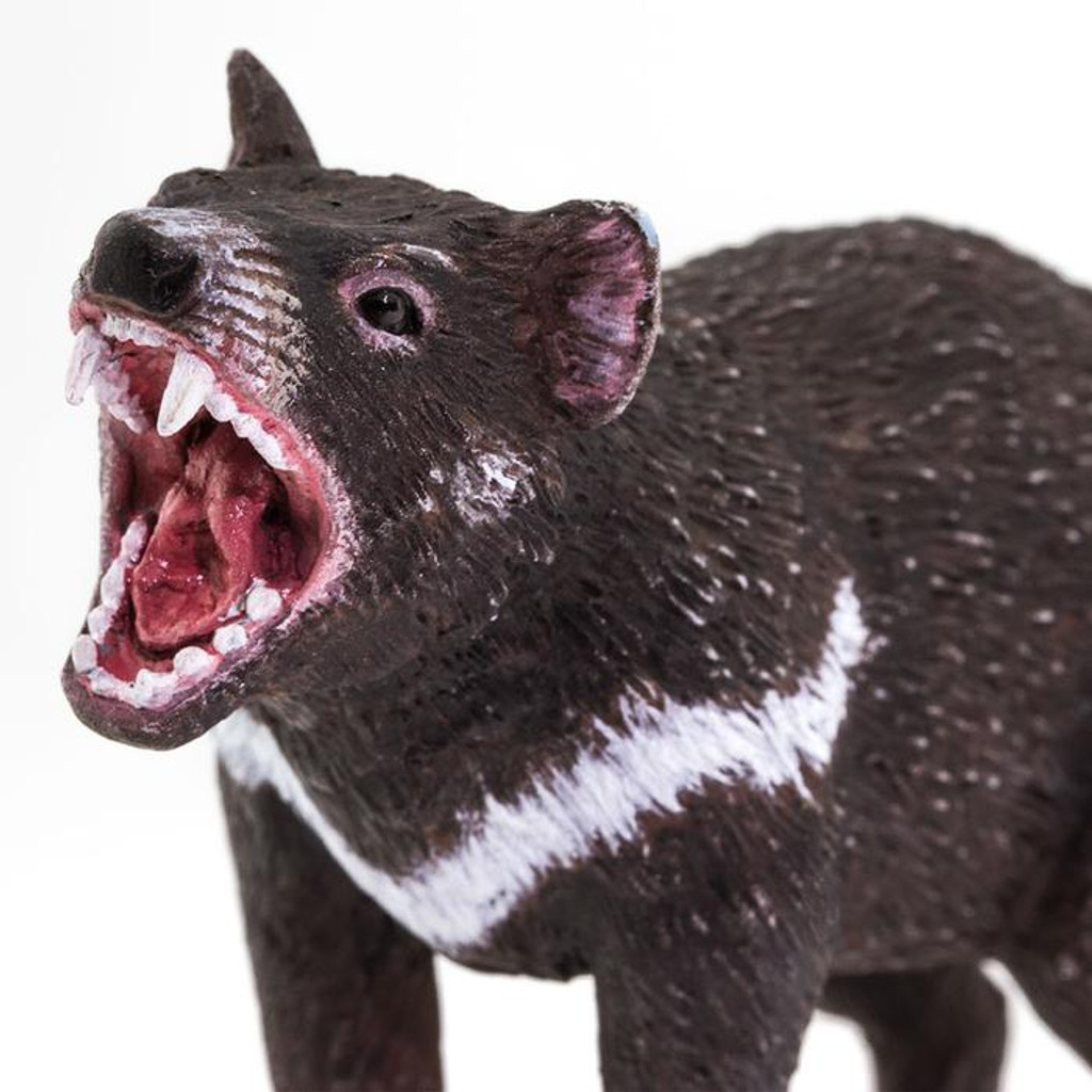 Safari Ltd Tasmanian Devil