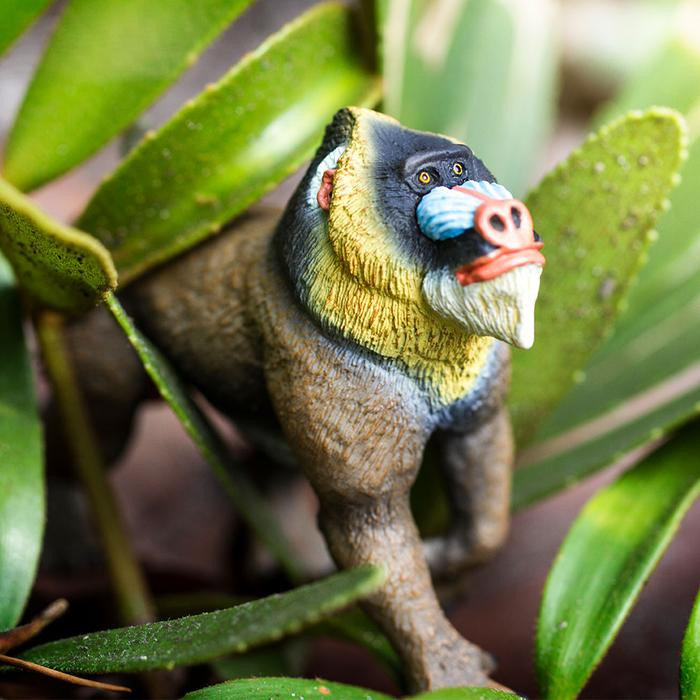 Mandrill ‎– 2枚 Safari Ltd Mandrill 100273 | Wildlife