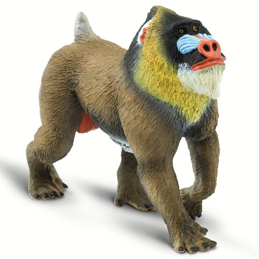 Mandrill ‎– 2枚 Safari Ltd Mandrill 100273 | Wildlife