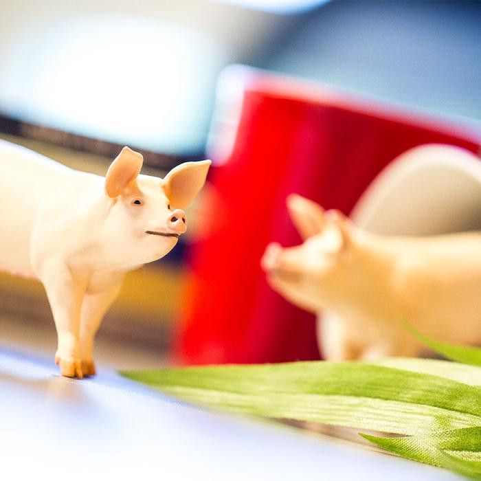 Safari Ltd Large White Pig