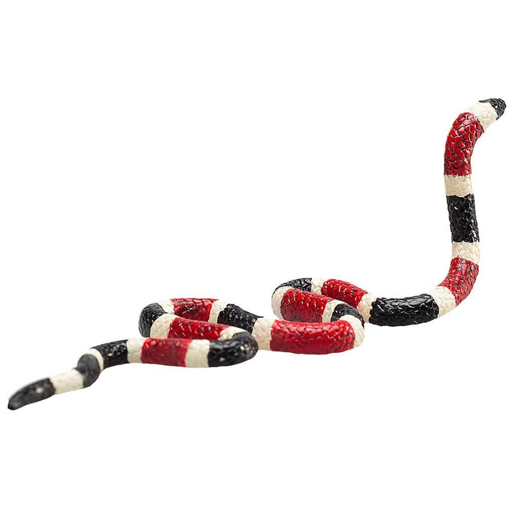 Mojo Coral Snake