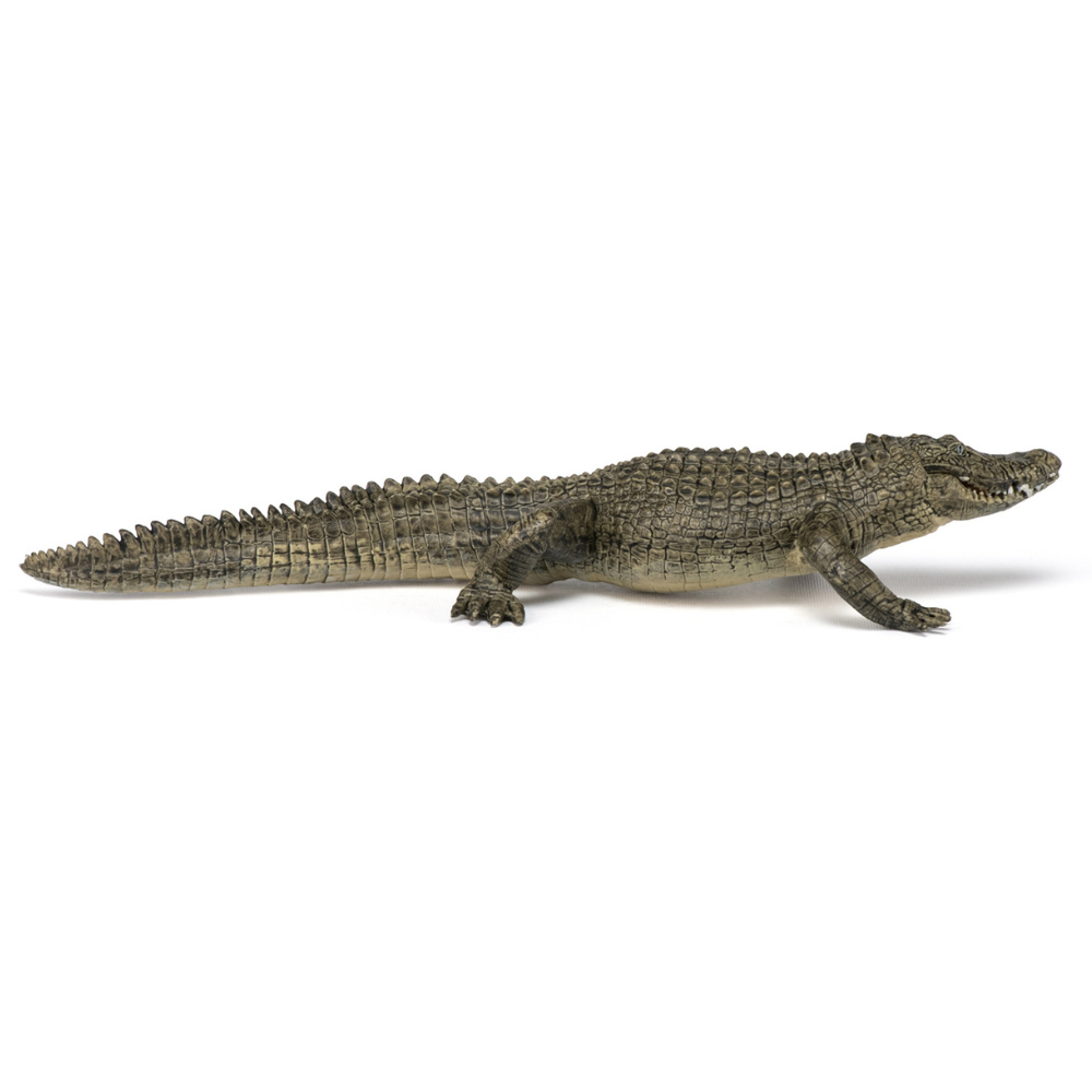 Papo Alligator
