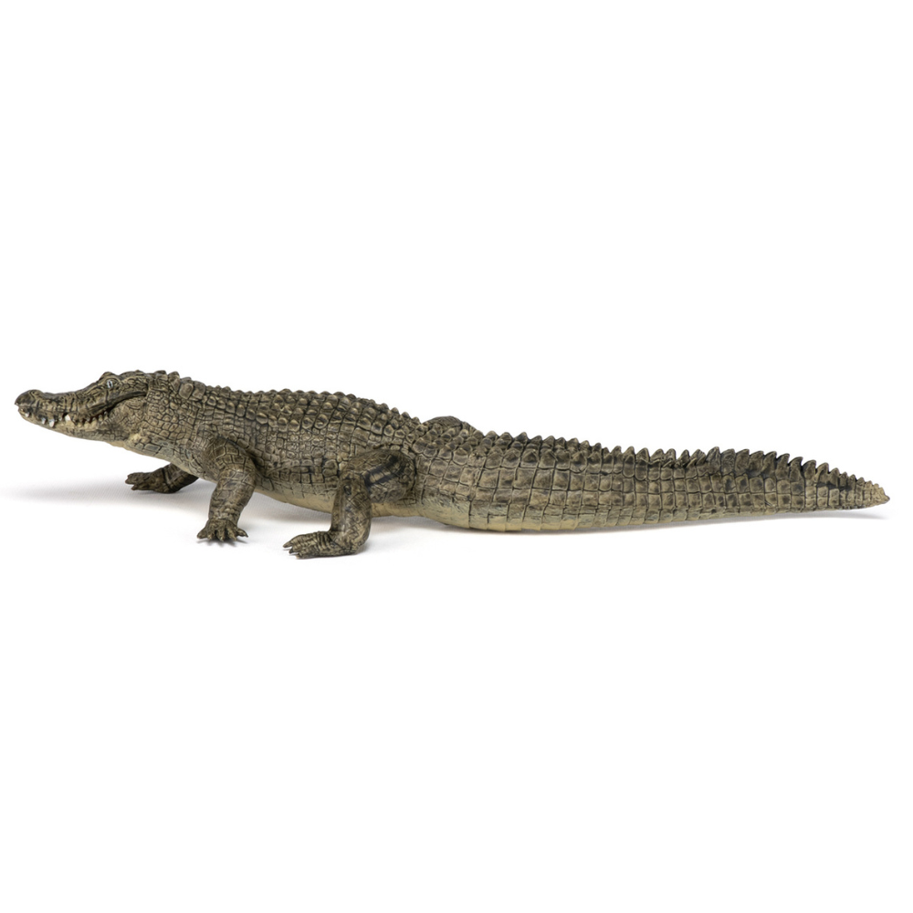 Papo Alligator