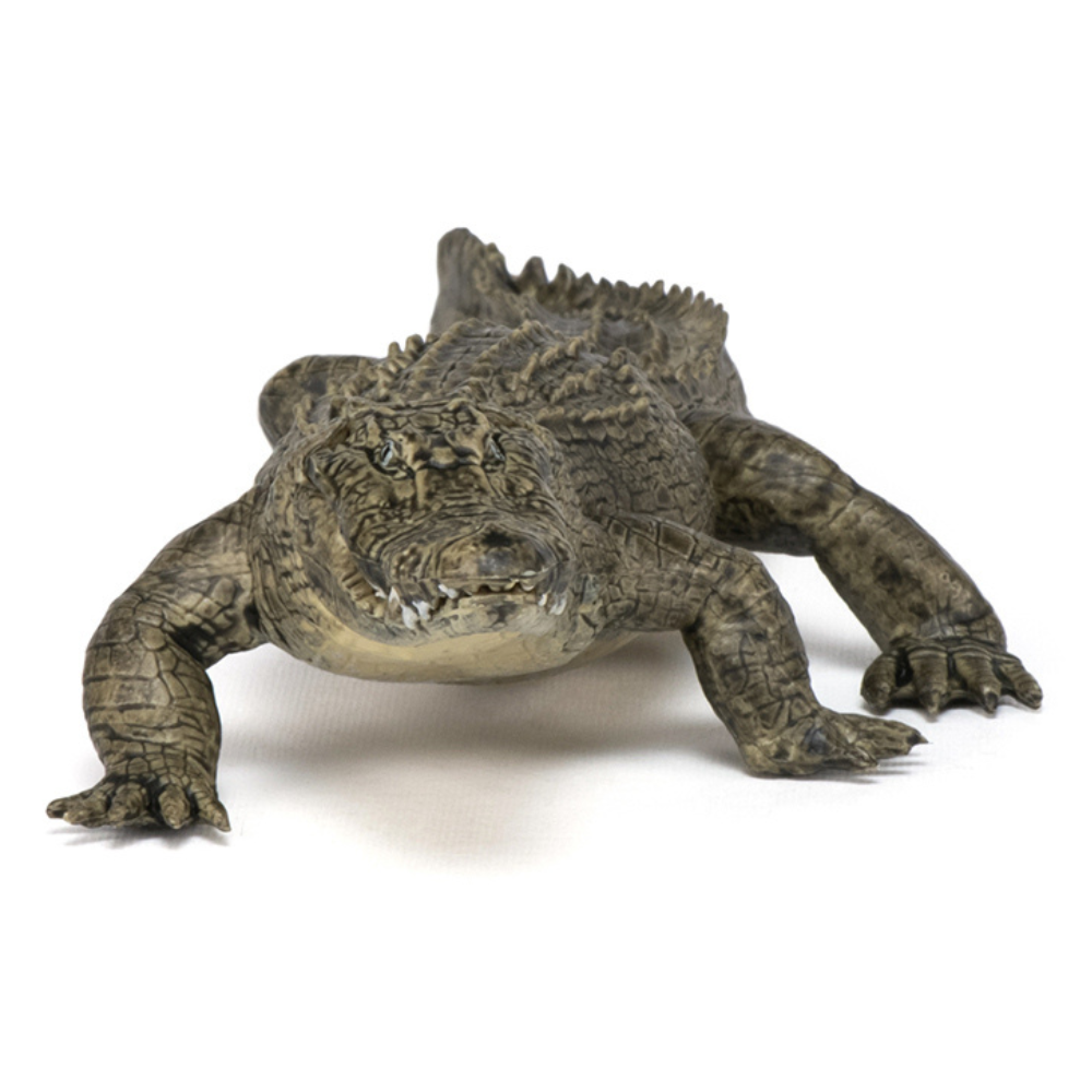 Papo Alligator