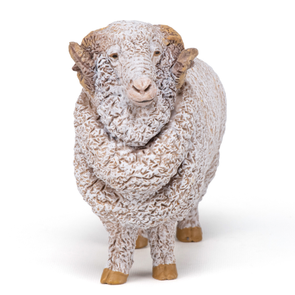 Papo Merino Ram
