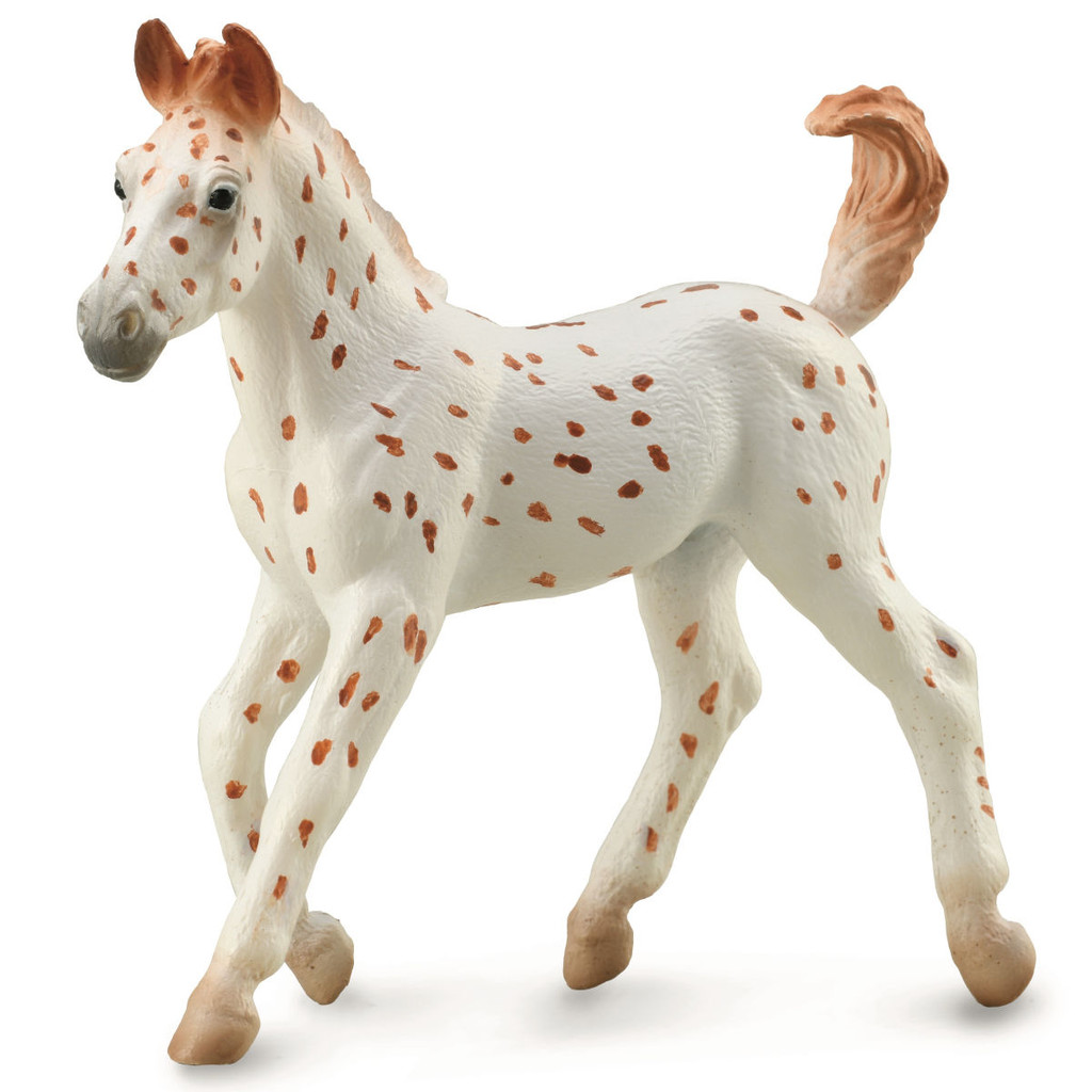 CollectA Knabstrupper Foal Leopard