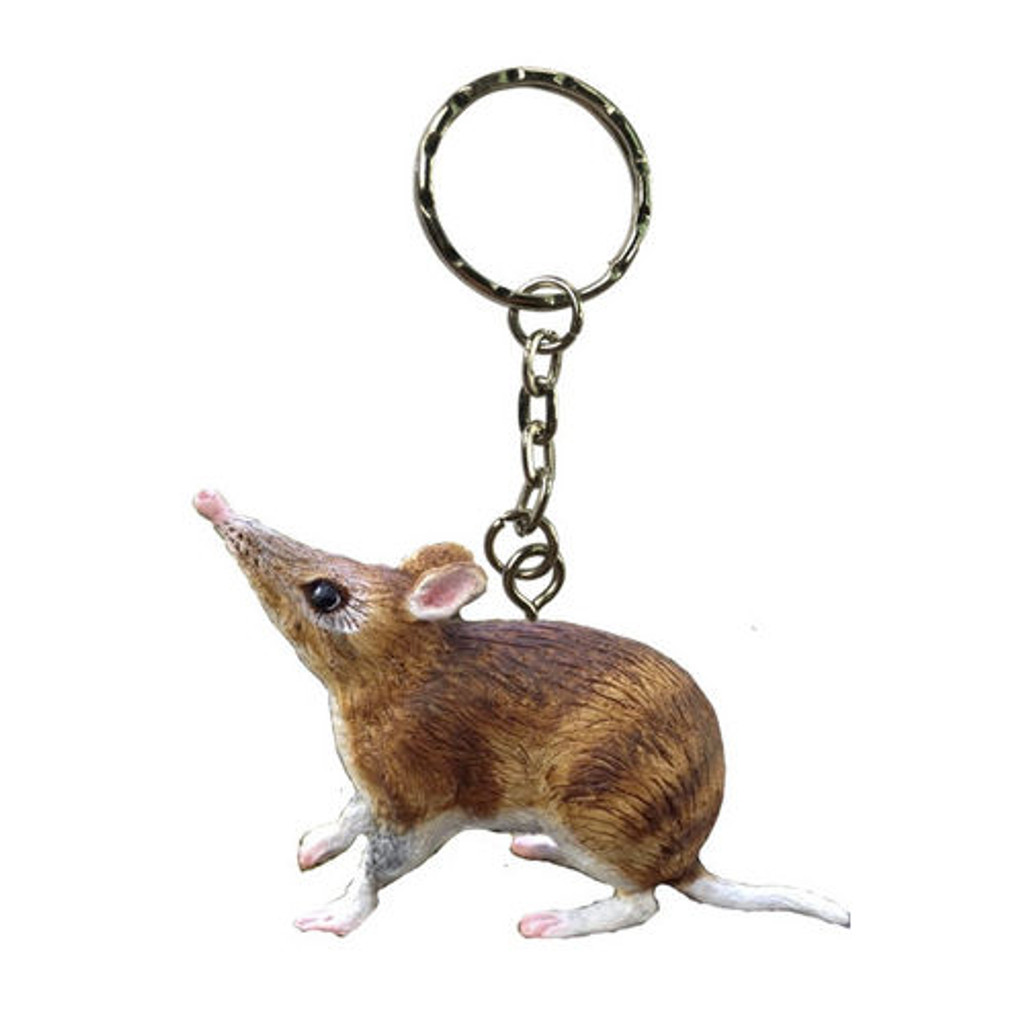 Science and Nature Bandicoot Keychain