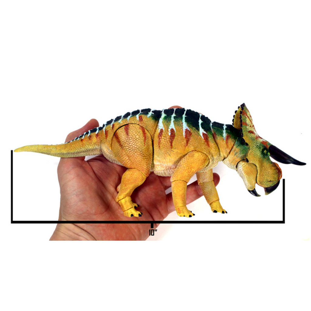 Creative Beasts Nasutoceratops size