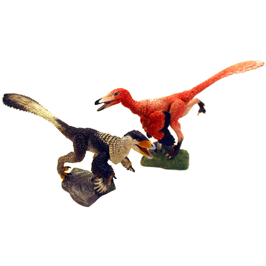 Creative Beast Studio Western 2 Pack - Buitreraptor g. and young Stenonychosaurus i. 1:6 Scale