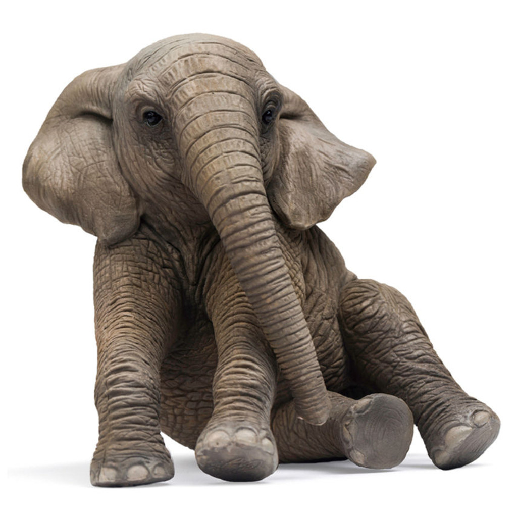 PNSO Manman the African Elephant calf sitting front view