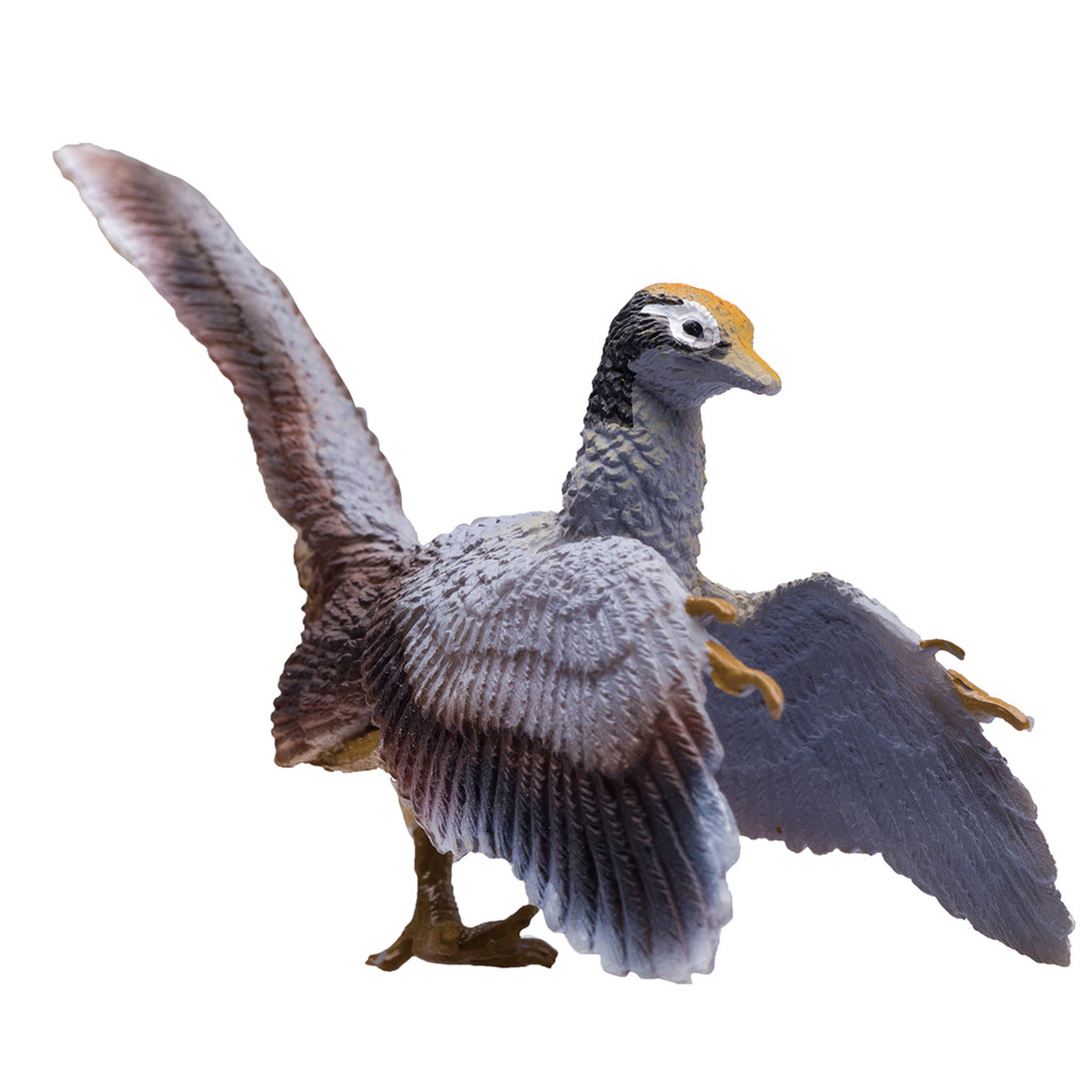 PNSO Archaeopteryx Jonas mini dinosaur