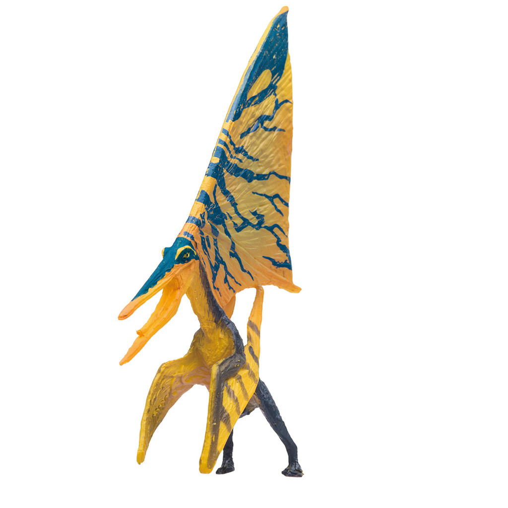 PNSO Nyctosaurus Fan front view