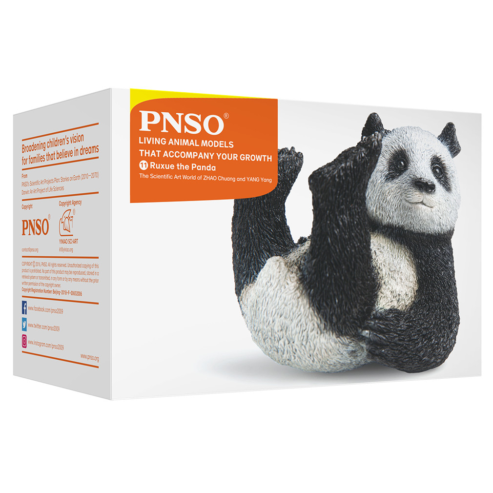 PNSO Ruxue the Panda packaging