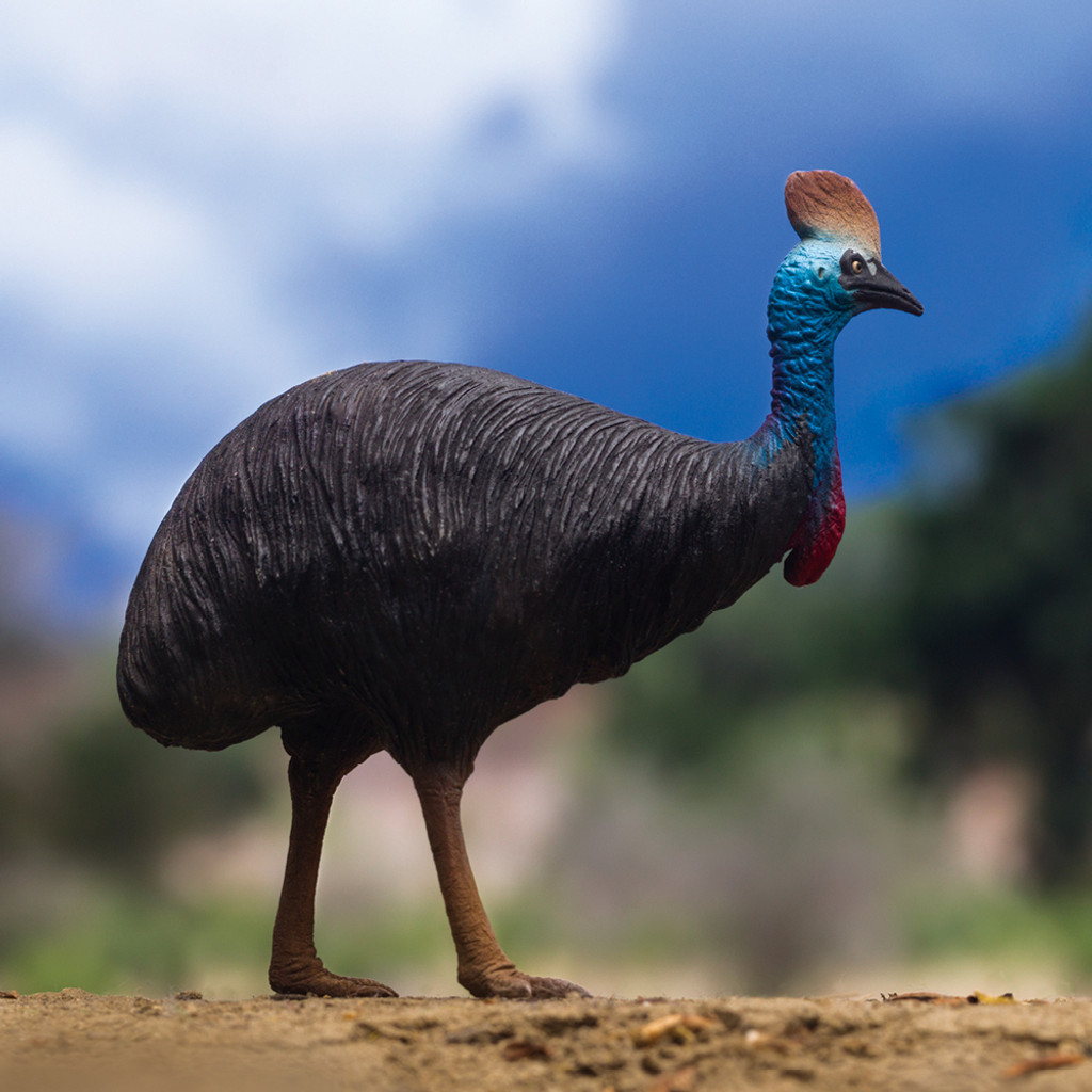 PNSO Faithe the Southern Cassowary