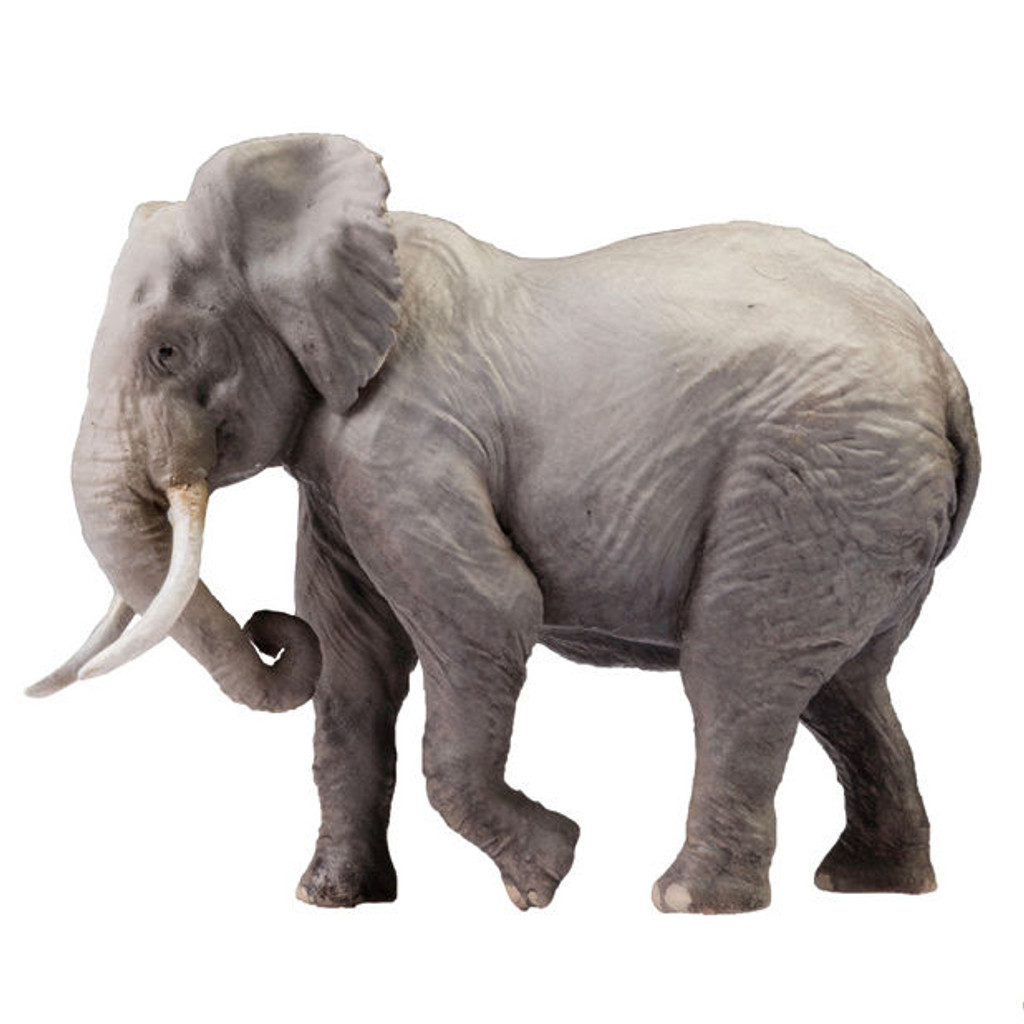 PNSO Chike the African Bush Elephant 201007 PNSO Chike the African Bush Elephant 201007