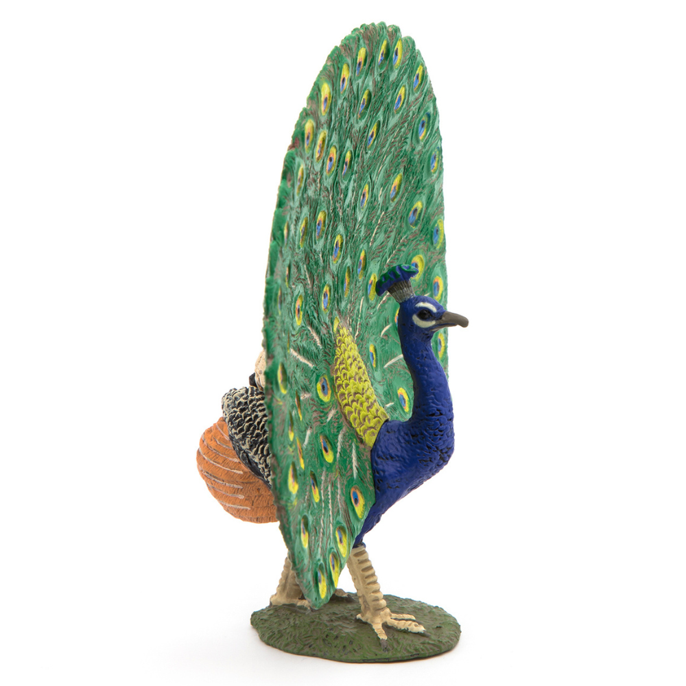 Papo Peacock