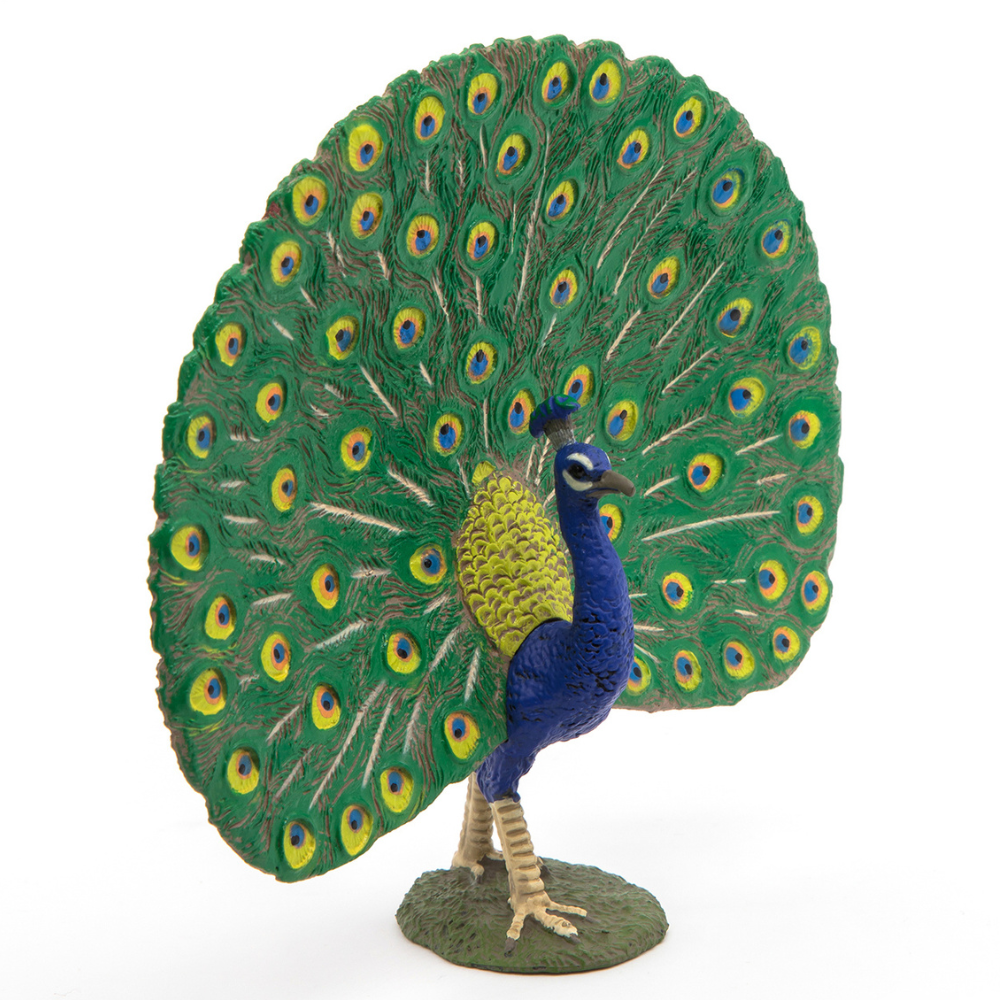 Papo Peacock