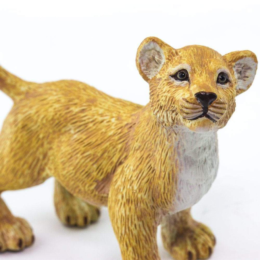 Safari Ltd Lion Cub closeup