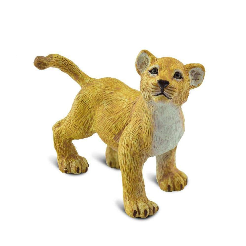 Safari Ltd Lion Cub top view