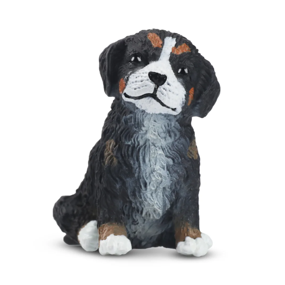 CollectA Bernese Mountain Dog