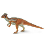 Safari Ltd Pachycephalosaurus side angle