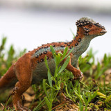 Safari Ltd Pachycephalosaurus lifestyle outdoors