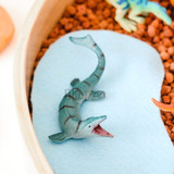 Recur Small Mosasaurus