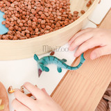 Recur Small Mosasaurus