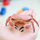 Papo Dungenese Crab MiniZoo