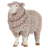 Papo Merino Ewe