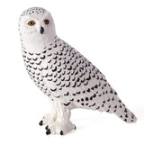 Mojo Snowy Owl