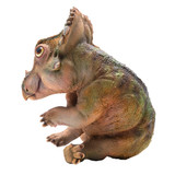 PNSO A-Qi The Young Sinoceratops side view