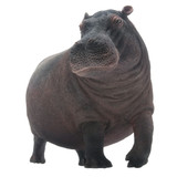 PNSO Dunkey the Hippopotamus Vinyl  front view