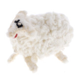 Papoose Little Sheep