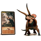 Eofauna Triceratops sp Dominant