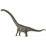 CollectA Mamenchisaurus side  2