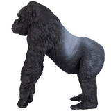 Mojo Gorilla Male Silverback side view