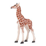 Mojo Giraffe Calf 2021