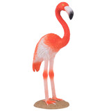 Mojo American Flamingo