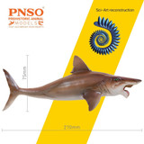 PNSO Haylee the Helicoprion size